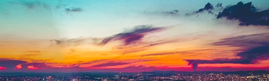 伊春茶虫网_伊春品茶